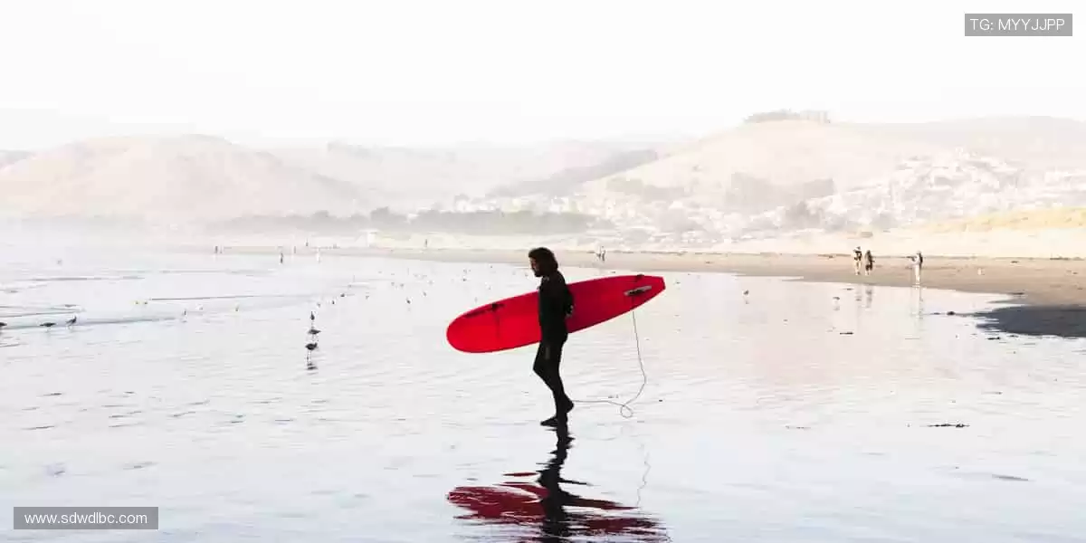 💻专业解说 + 实时互动,全球球迷同频狂欢!💥